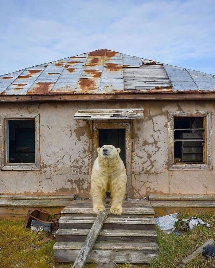 71 Interesting, Cool And Entertaining Pics That Had To Be Shared