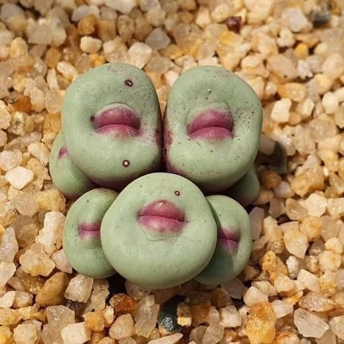71 Interesting, Cool And Entertaining Pics That Had To Be Shared