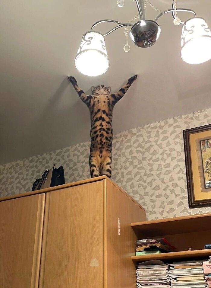 71 Interesting, Cool And Entertaining Pics That Had To Be Shared