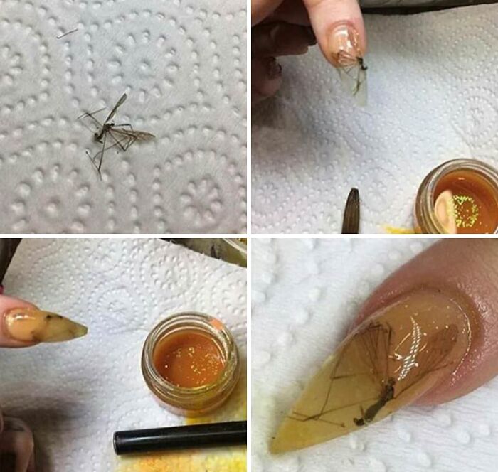 114 DIY Projects That Started With Big Dreams And Ended With Results Nobody Could Have Predicted