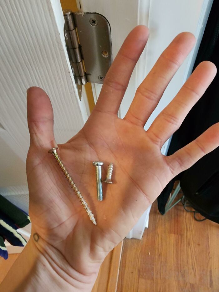 114 DIY Projects That Started With Big Dreams And Ended With Results Nobody Could Have Predicted
