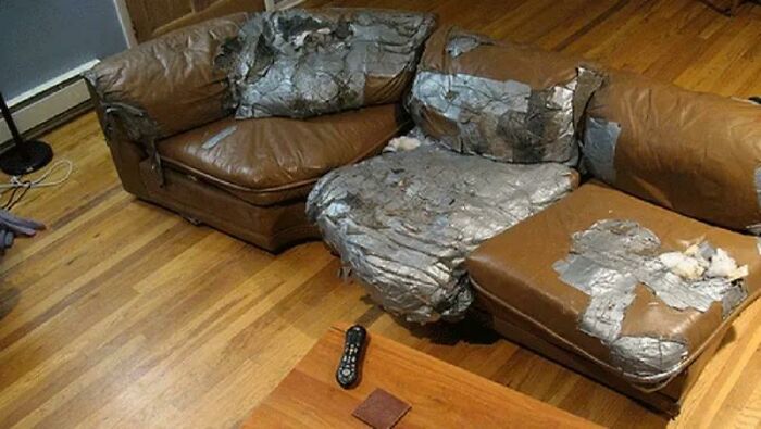 114 DIY Projects That Started With Big Dreams And Ended With Results Nobody Could Have Predicted