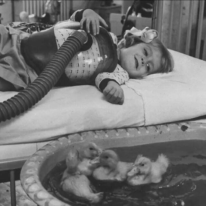 82 Fascinating Photos That Teach About History In A Way School Can’t 82 Fascinating Photos That Teach About History In A Way School Can’t