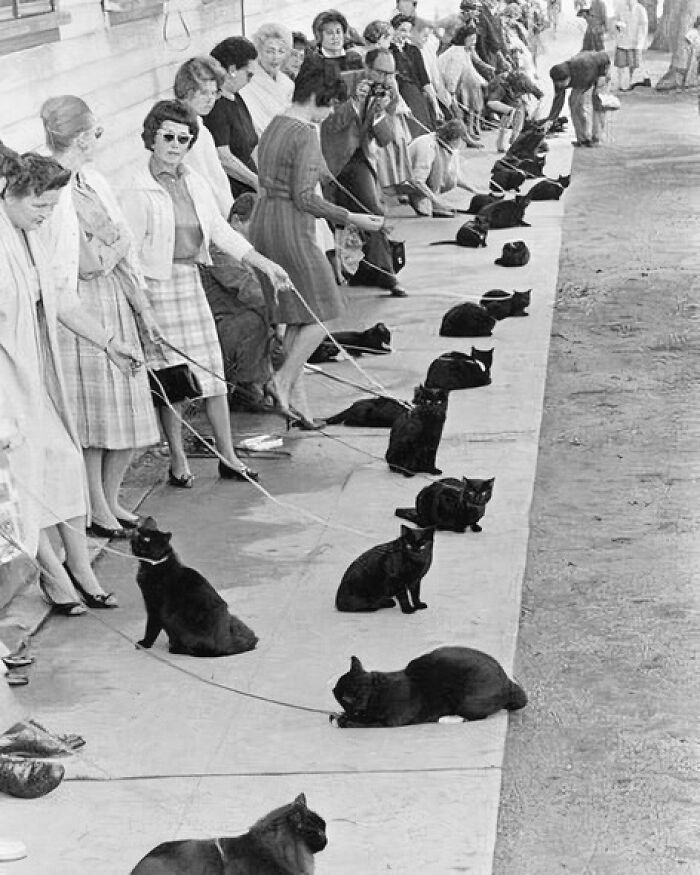 82 Fascinating Photos That Teach About History In A Way School Can’t 82 Fascinating Photos That Teach About History In A Way School Can’t