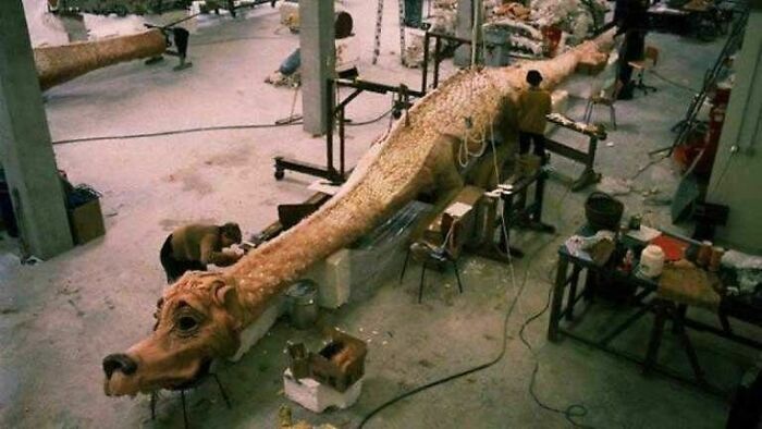 82 Fascinating Photos That Teach About History In A Way School Can’t 82 Fascinating Photos That Teach About History In A Way School Can’t