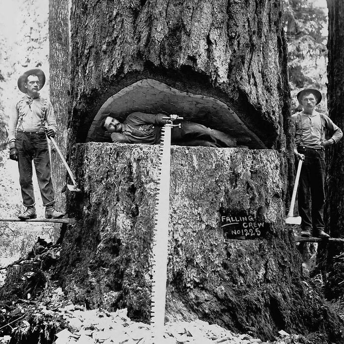 82 Fascinating Photos That Teach About History In A Way School Can’t 82 Fascinating Photos That Teach About History In A Way School Can’t