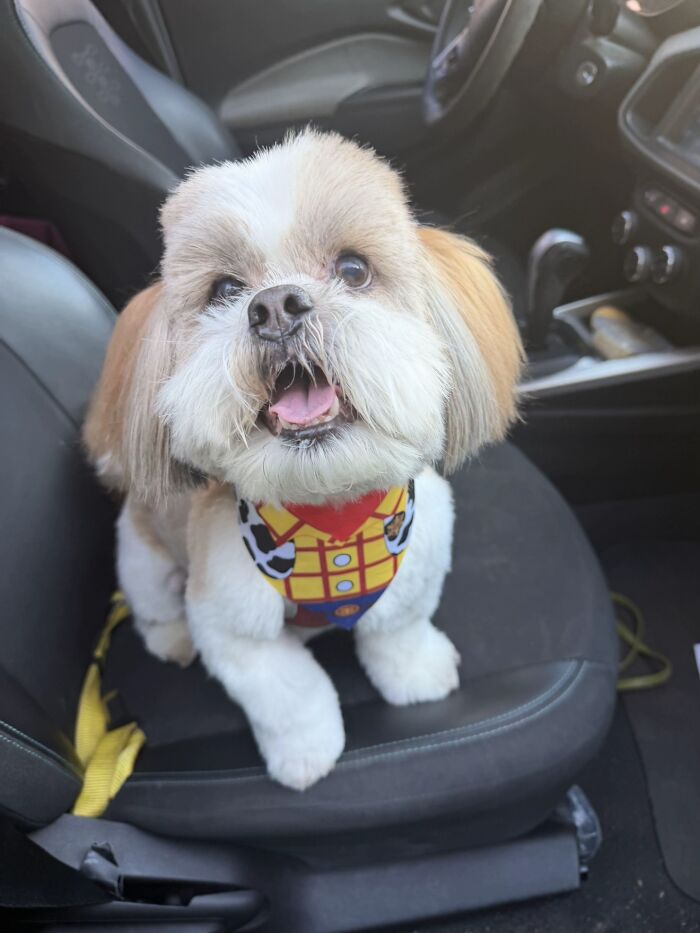 This Viral TikTok Trend Has People Sharing The Life Stories They’ve Lived Alongside Their Pets (100 Pics) This Viral TikTok Trend Has People Sharing The Life Stories They’ve Lived Alongside Their Pets (100 Pics)