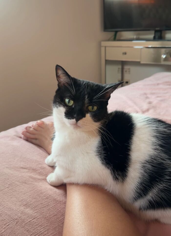 This Viral TikTok Trend Has People Sharing The Life Stories They’ve Lived Alongside Their Pets (100 Pics) This Viral TikTok Trend Has People Sharing The Life Stories They’ve Lived Alongside Their Pets (100 Pics)