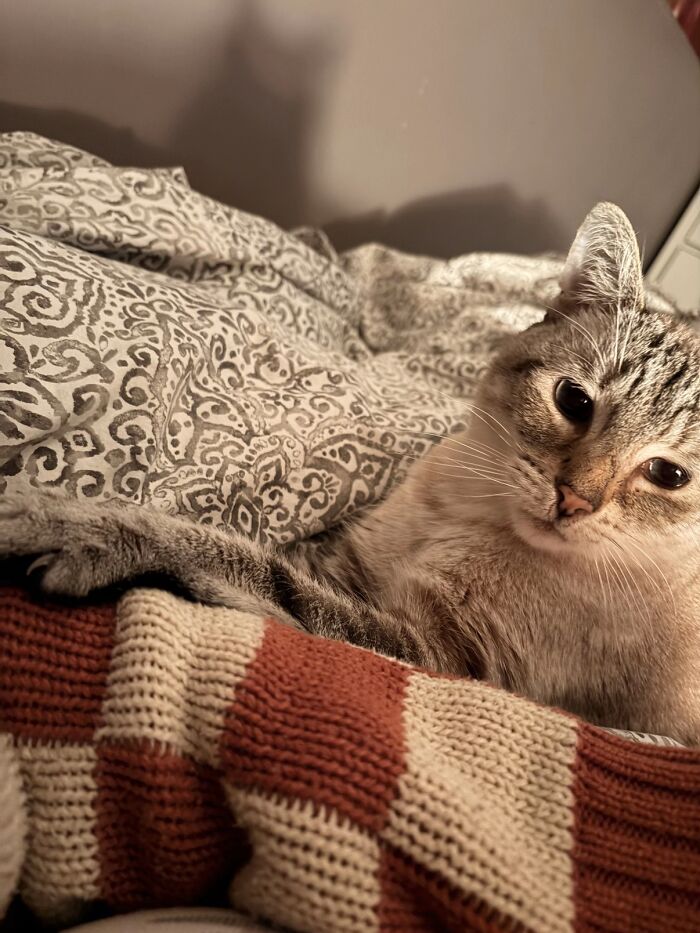 This Viral TikTok Trend Has People Sharing The Life Stories They’ve Lived Alongside Their Pets (100 Pics) This Viral TikTok Trend Has People Sharing The Life Stories They’ve Lived Alongside Their Pets (100 Pics)