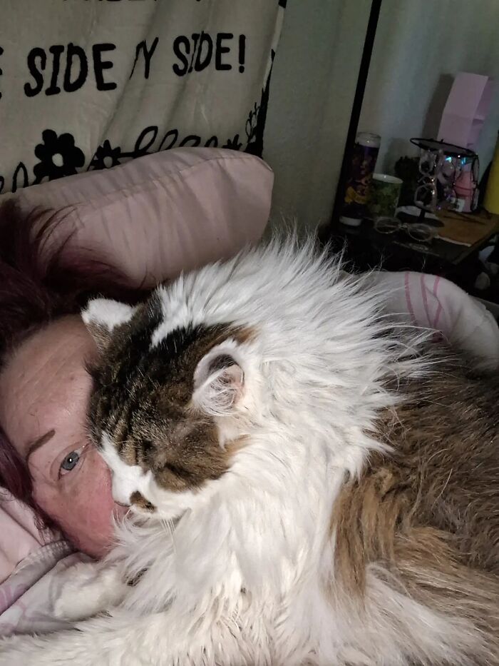 This Viral TikTok Trend Has People Sharing The Life Stories They’ve Lived Alongside Their Pets (100 Pics) This Viral TikTok Trend Has People Sharing The Life Stories They’ve Lived Alongside Their Pets (100 Pics)