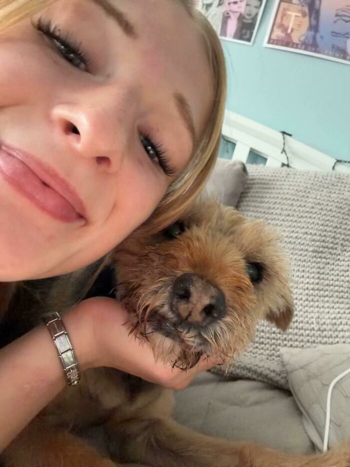 This Viral TikTok Trend Has People Sharing The Life Stories They’ve Lived Alongside Their Pets (100 Pics) This Viral TikTok Trend Has People Sharing The Life Stories They’ve Lived Alongside Their Pets (100 Pics)