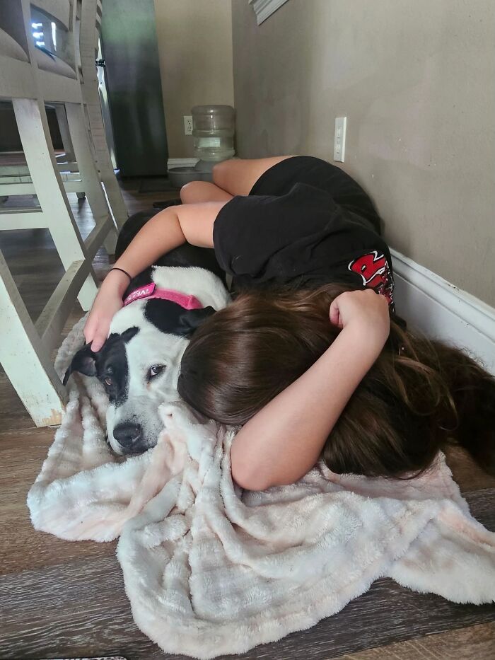 This Viral TikTok Trend Has People Sharing The Life Stories They’ve Lived Alongside Their Pets (100 Pics) This Viral TikTok Trend Has People Sharing The Life Stories They’ve Lived Alongside Their Pets (100 Pics)