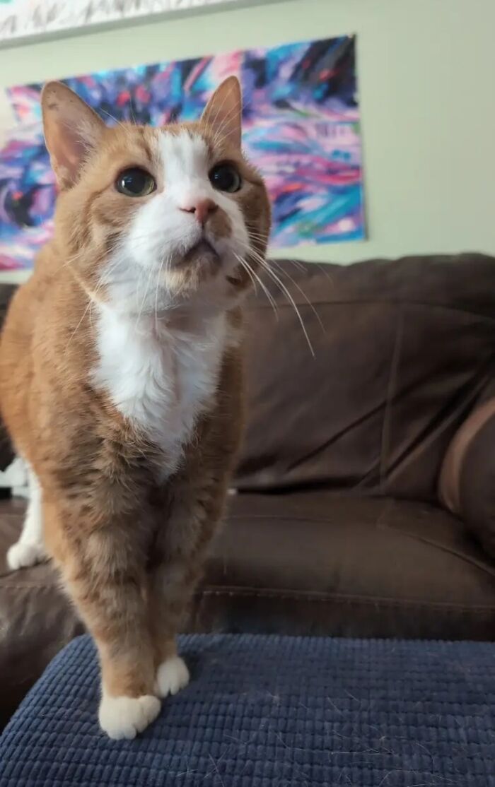 This Viral TikTok Trend Has People Sharing The Life Stories They’ve Lived Alongside Their Pets (100 Pics) This Viral TikTok Trend Has People Sharing The Life Stories They’ve Lived Alongside Their Pets (100 Pics)