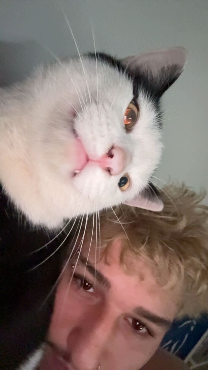 This Viral TikTok Trend Has People Sharing The Life Stories They’ve Lived Alongside Their Pets (100 Pics) This Viral TikTok Trend Has People Sharing The Life Stories They’ve Lived Alongside Their Pets (100 Pics)