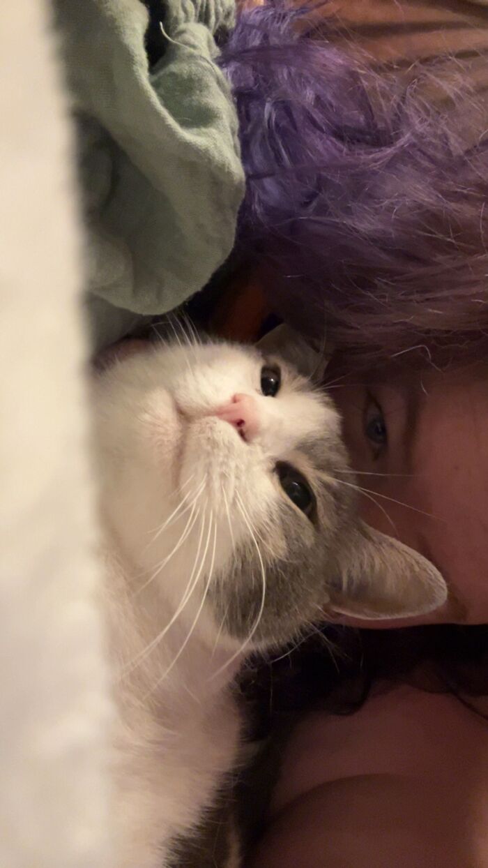 This Viral TikTok Trend Has People Sharing The Life Stories They’ve Lived Alongside Their Pets (100 Pics) This Viral TikTok Trend Has People Sharing The Life Stories They’ve Lived Alongside Their Pets (100 Pics)