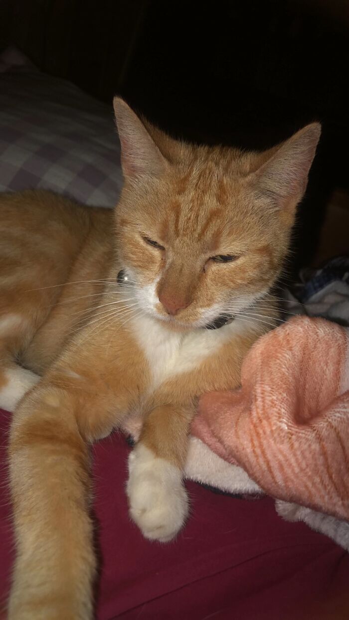 This Viral TikTok Trend Has People Sharing The Life Stories They’ve Lived Alongside Their Pets (100 Pics) This Viral TikTok Trend Has People Sharing The Life Stories They’ve Lived Alongside Their Pets (100 Pics)