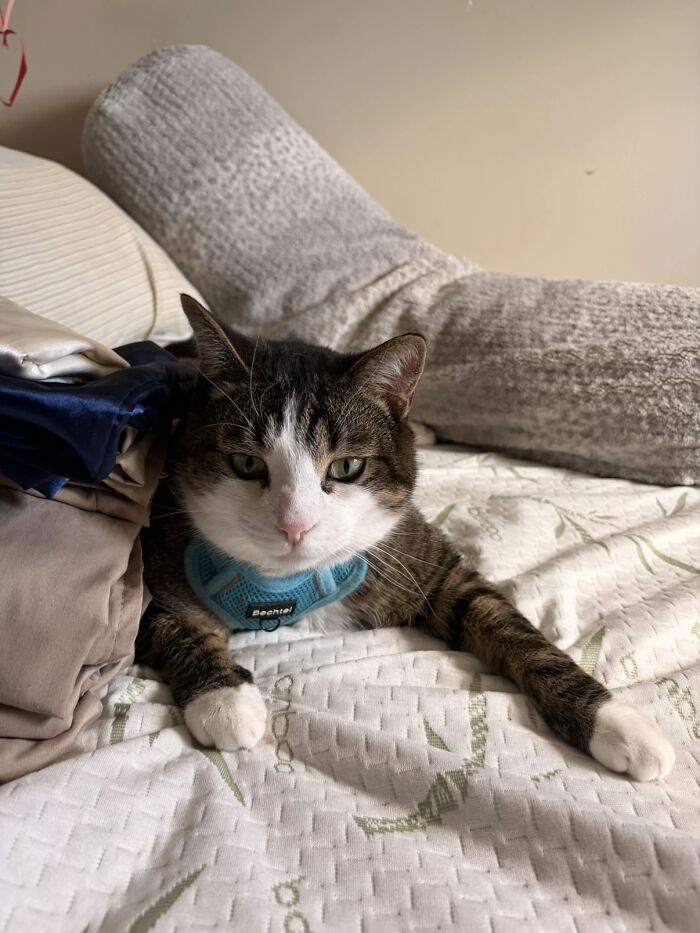 This Viral TikTok Trend Has People Sharing The Life Stories They’ve Lived Alongside Their Pets (100 Pics) This Viral TikTok Trend Has People Sharing The Life Stories They’ve Lived Alongside Their Pets (100 Pics)