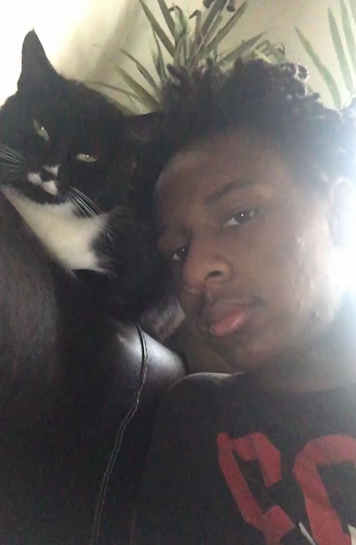 This Viral TikTok Trend Has People Sharing The Life Stories They’ve Lived Alongside Their Pets (100 Pics) This Viral TikTok Trend Has People Sharing The Life Stories They’ve Lived Alongside Their Pets (100 Pics)