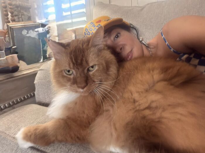 This Viral TikTok Trend Has People Sharing The Life Stories They’ve Lived Alongside Their Pets (100 Pics) This Viral TikTok Trend Has People Sharing The Life Stories They’ve Lived Alongside Their Pets (100 Pics)