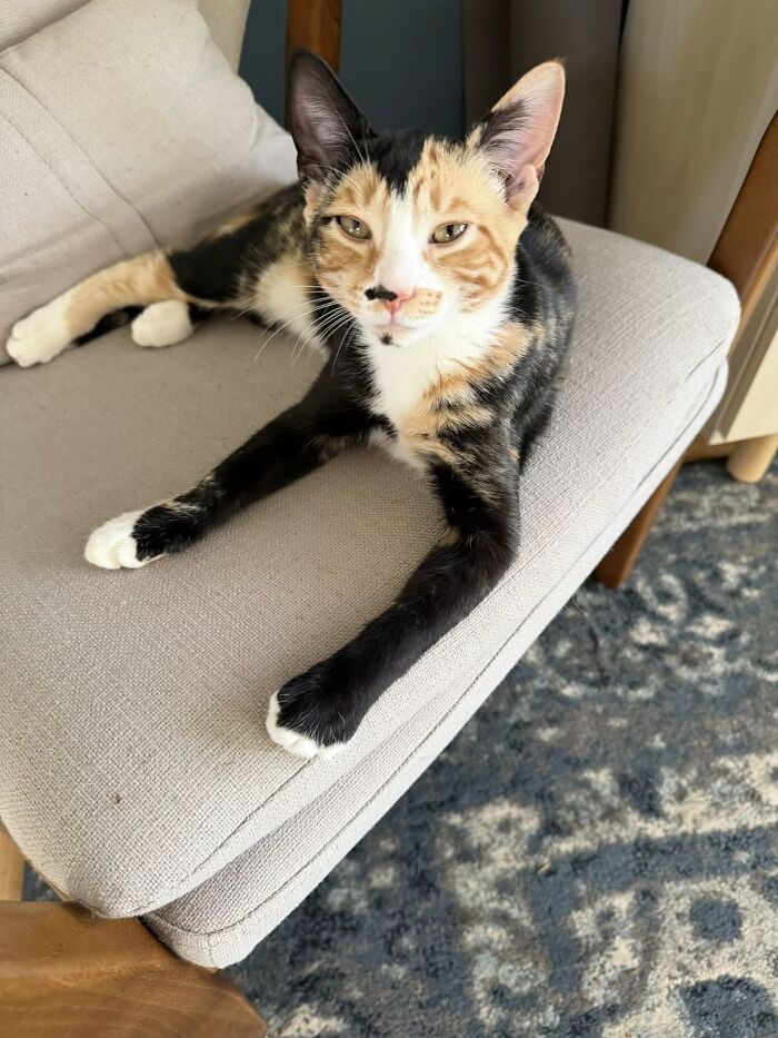 This Viral TikTok Trend Has People Sharing The Life Stories They’ve Lived Alongside Their Pets (100 Pics) This Viral TikTok Trend Has People Sharing The Life Stories They’ve Lived Alongside Their Pets (100 Pics)
