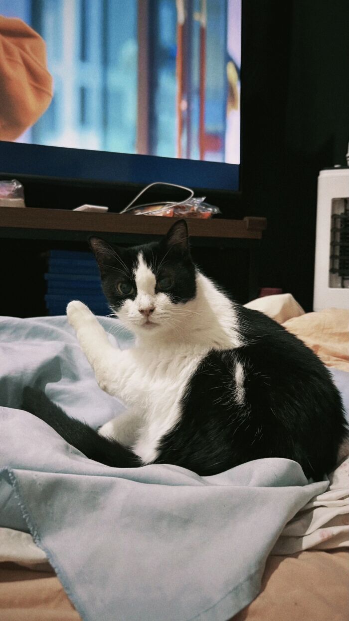 This Viral TikTok Trend Has People Sharing The Life Stories They’ve Lived Alongside Their Pets (100 Pics) This Viral TikTok Trend Has People Sharing The Life Stories They’ve Lived Alongside Their Pets (100 Pics)