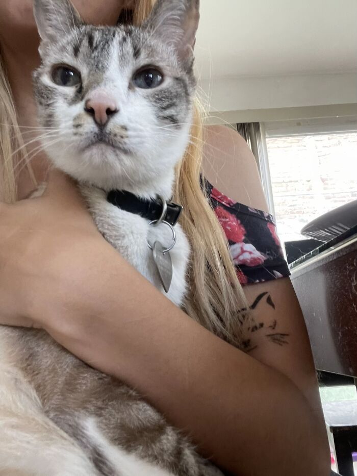 This Viral TikTok Trend Has People Sharing The Life Stories They’ve Lived Alongside Their Pets (100 Pics) This Viral TikTok Trend Has People Sharing The Life Stories They’ve Lived Alongside Their Pets (100 Pics)