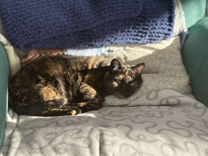 This Viral TikTok Trend Has People Sharing The Life Stories They’ve Lived Alongside Their Pets (100 Pics) This Viral TikTok Trend Has People Sharing The Life Stories They’ve Lived Alongside Their Pets (100 Pics)