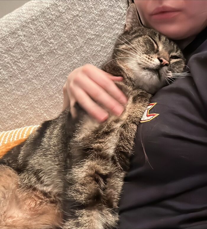This Viral TikTok Trend Has People Sharing The Life Stories They’ve Lived Alongside Their Pets (100 Pics) This Viral TikTok Trend Has People Sharing The Life Stories They’ve Lived Alongside Their Pets (100 Pics)