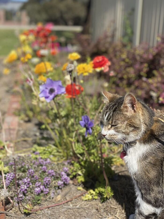 This Viral TikTok Trend Has People Sharing The Life Stories They’ve Lived Alongside Their Pets (100 Pics) This Viral TikTok Trend Has People Sharing The Life Stories They’ve Lived Alongside Their Pets (100 Pics)