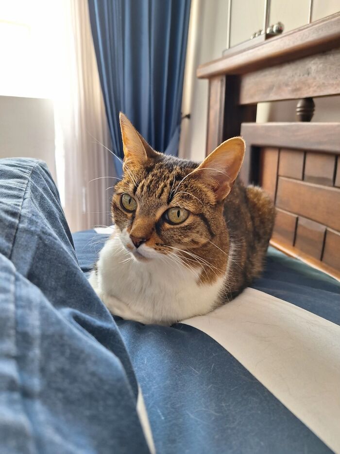 This Viral TikTok Trend Has People Sharing The Life Stories They’ve Lived Alongside Their Pets (100 Pics) This Viral TikTok Trend Has People Sharing The Life Stories They’ve Lived Alongside Their Pets (100 Pics)
