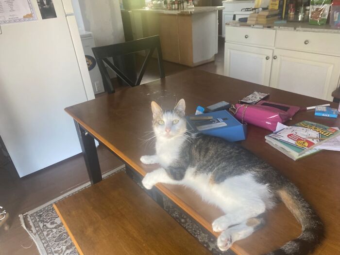 This Viral TikTok Trend Has People Sharing The Life Stories They’ve Lived Alongside Their Pets (100 Pics) This Viral TikTok Trend Has People Sharing The Life Stories They’ve Lived Alongside Their Pets (100 Pics)
