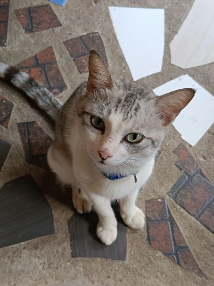 This Viral TikTok Trend Has People Sharing The Life Stories They’ve Lived Alongside Their Pets (100 Pics) This Viral TikTok Trend Has People Sharing The Life Stories They’ve Lived Alongside Their Pets (100 Pics)