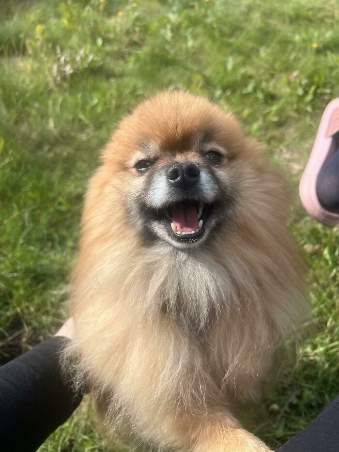 This Viral TikTok Trend Has People Sharing The Life Stories They’ve Lived Alongside Their Pets (100 Pics) This Viral TikTok Trend Has People Sharing The Life Stories They’ve Lived Alongside Their Pets (100 Pics)