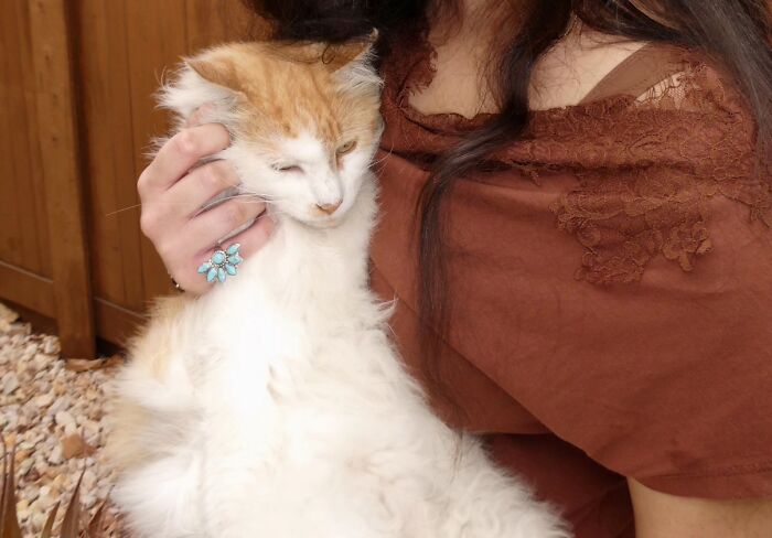 This Viral TikTok Trend Has People Sharing The Life Stories They’ve Lived Alongside Their Pets (100 Pics) This Viral TikTok Trend Has People Sharing The Life Stories They’ve Lived Alongside Their Pets (100 Pics)
