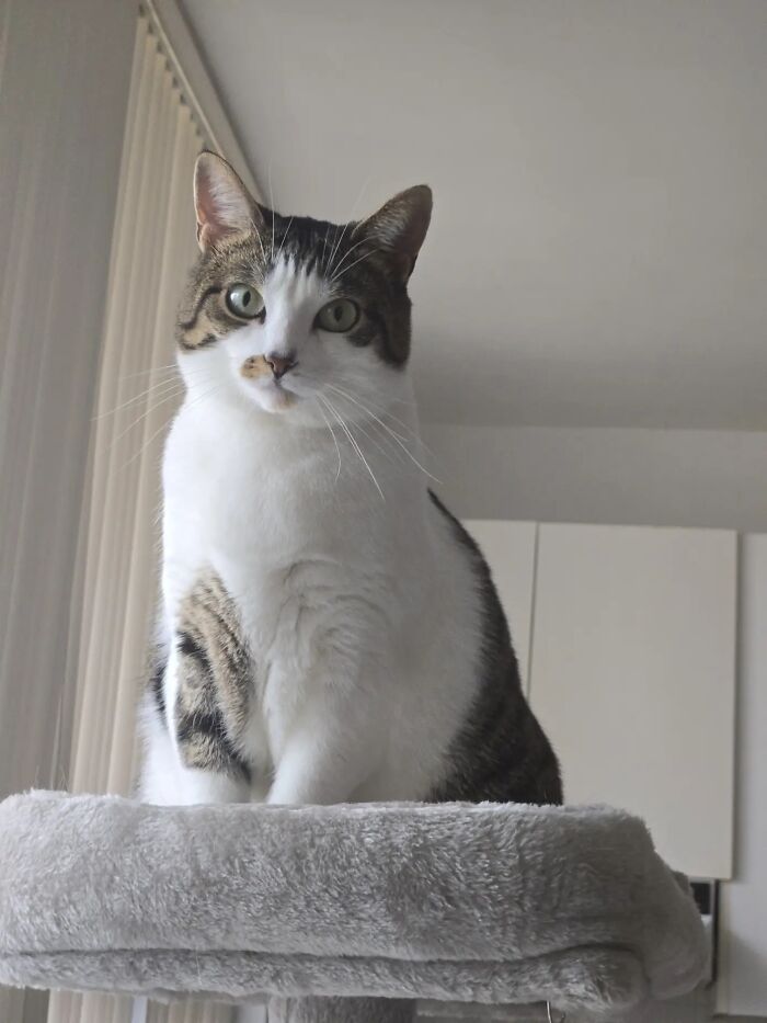 This Viral TikTok Trend Has People Sharing The Life Stories They’ve Lived Alongside Their Pets (100 Pics) This Viral TikTok Trend Has People Sharing The Life Stories They’ve Lived Alongside Their Pets (100 Pics)