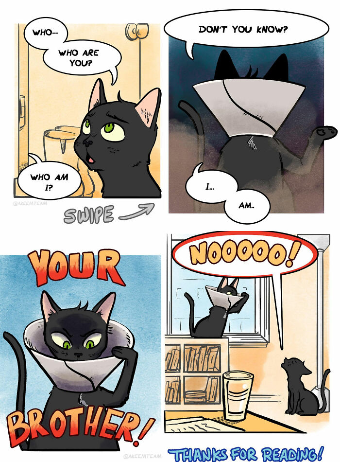 This Artist Created 22 Funny Comics About Life With His Girlfriend And Two Black Cats This Artist Created 22 Funny Comics About Life With His Girlfriend And Two Black Cats