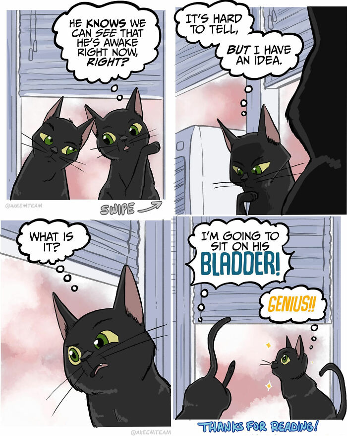 This Artist Created 22 Funny Comics About Life With His Girlfriend And Two Black Cats This Artist Created 22 Funny Comics About Life With His Girlfriend And Two Black Cats