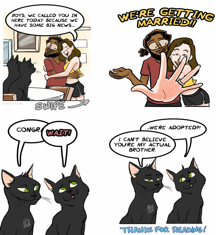 This Artist Created 22 Funny Comics About Life With His Girlfriend And Two Black Cats This Artist Created 22 Funny Comics About Life With His Girlfriend And Two Black Cats