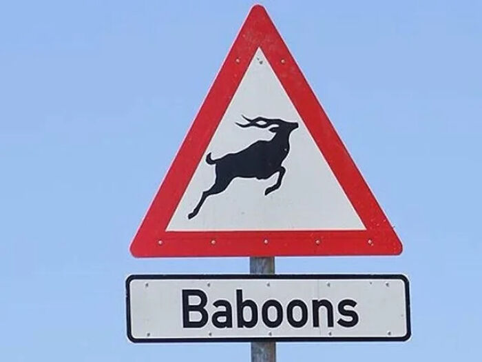 54 Signs From Around The World That Look Like Someone Surely Made A Mistake 54 Signs From Around The World That Look Like Someone Surely Made A Mistake