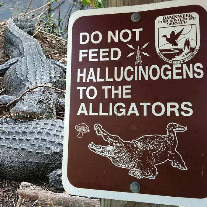 54 Signs From Around The World That Look Like Someone Surely Made A Mistake 54 Signs From Around The World That Look Like Someone Surely Made A Mistake
