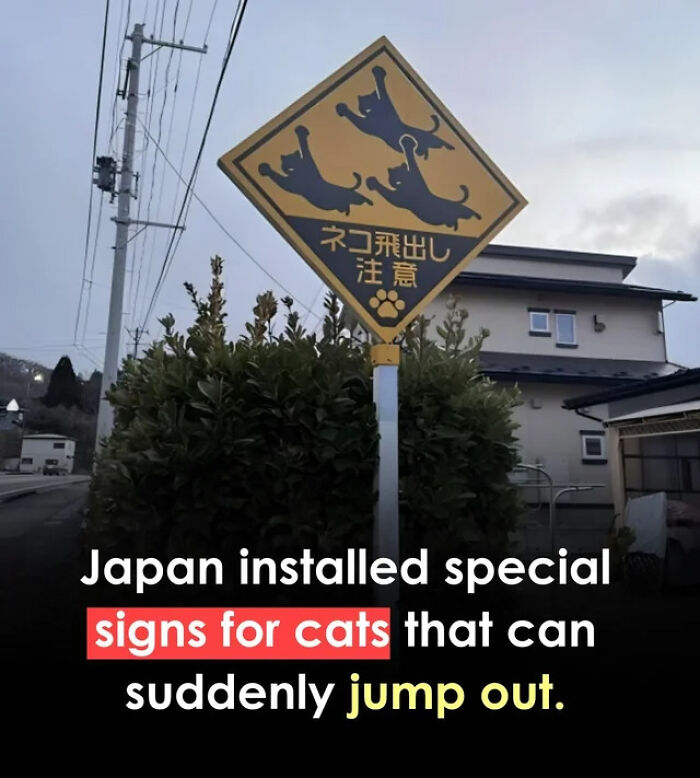 54 Signs From Around The World That Look Like Someone Surely Made A Mistake 54 Signs From Around The World That Look Like Someone Surely Made A Mistake