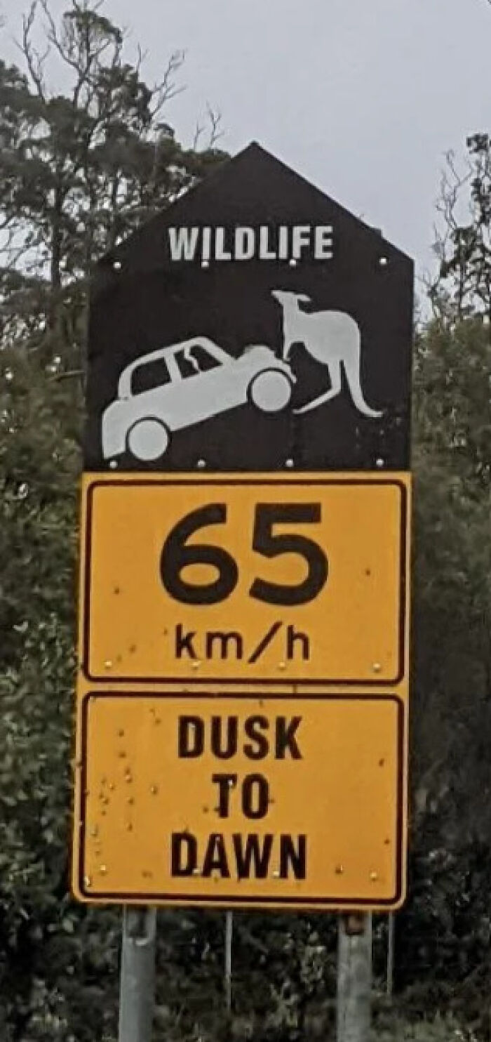 54 Signs From Around The World That Look Like Someone Surely Made A Mistake 54 Signs From Around The World That Look Like Someone Surely Made A Mistake