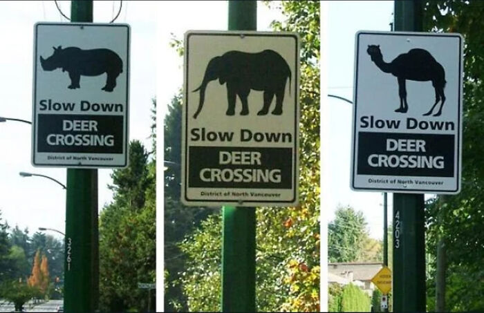 54 Signs From Around The World That Look Like Someone Surely Made A Mistake 54 Signs From Around The World That Look Like Someone Surely Made A Mistake