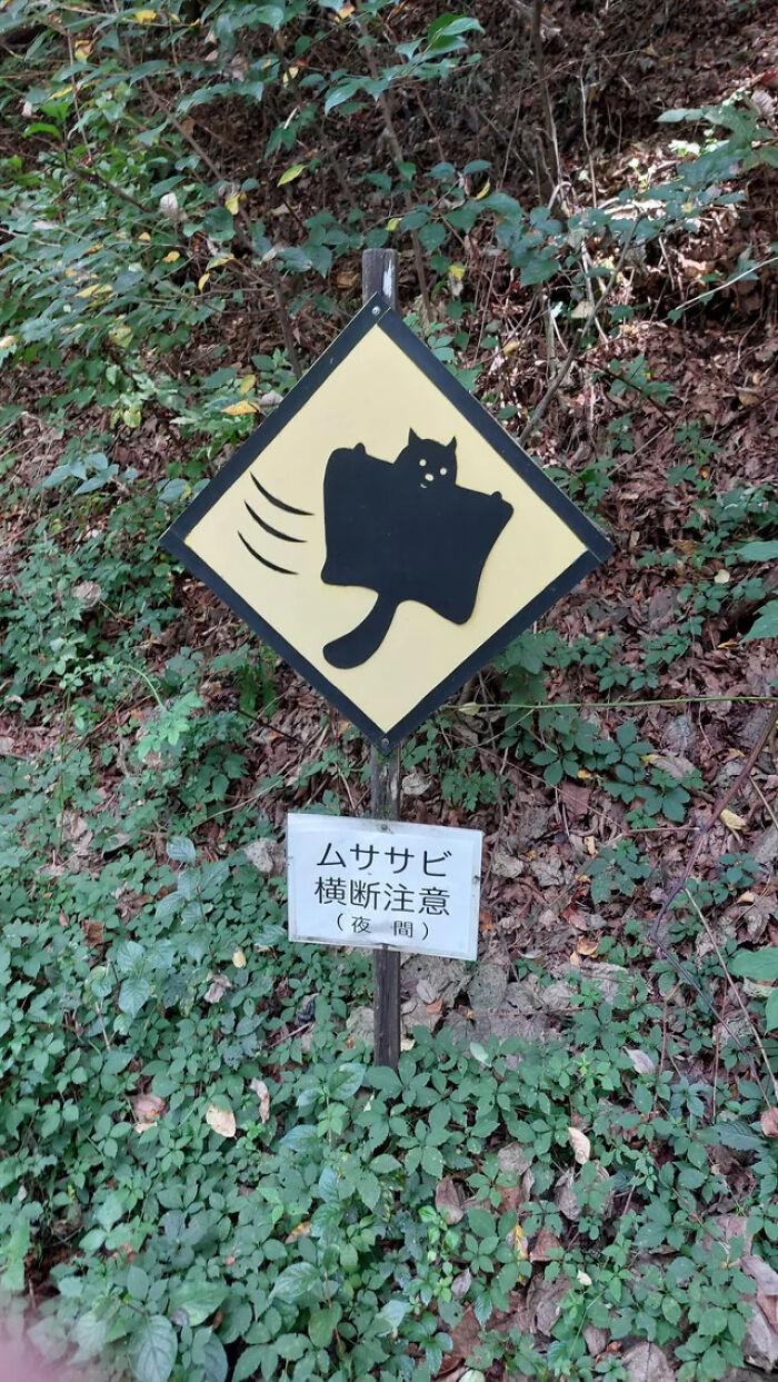 54 Signs From Around The World That Look Like Someone Surely Made A Mistake 54 Signs From Around The World That Look Like Someone Surely Made A Mistake