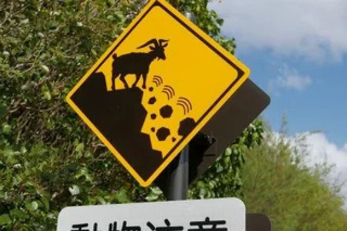 54 Signs From Around The World That Look Like Someone Surely Made A Mistake 54 Signs From Around The World That Look Like Someone Surely Made A Mistake