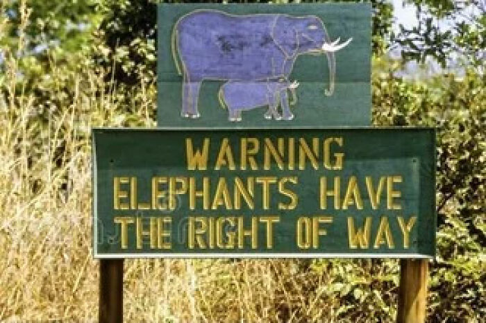 54 Signs From Around The World That Look Like Someone Surely Made A Mistake 54 Signs From Around The World That Look Like Someone Surely Made A Mistake