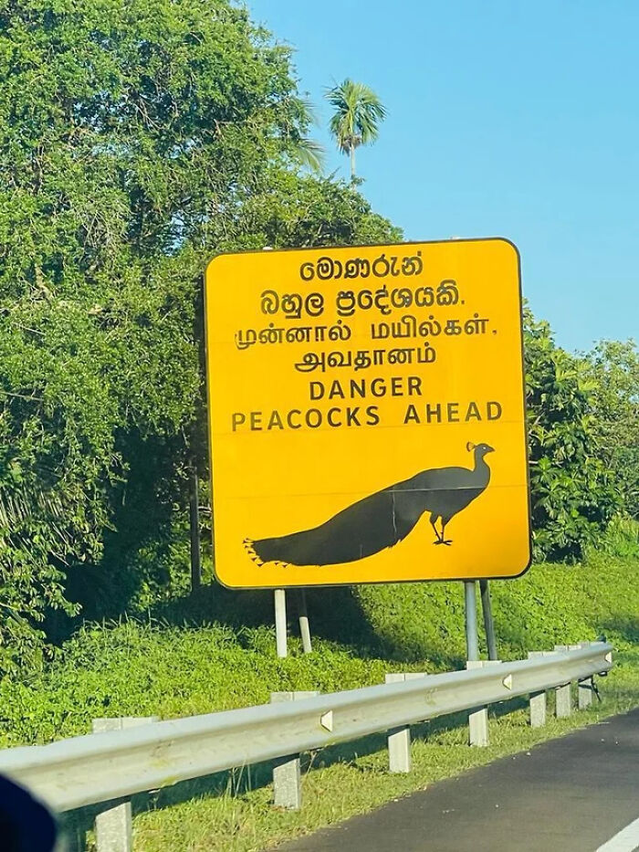 54 Signs From Around The World That Look Like Someone Surely Made A Mistake 54 Signs From Around The World That Look Like Someone Surely Made A Mistake
