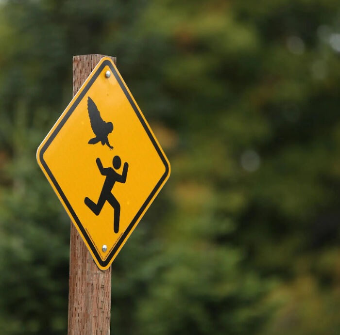 54 Signs From Around The World That Look Like Someone Surely Made A Mistake 54 Signs From Around The World That Look Like Someone Surely Made A Mistake