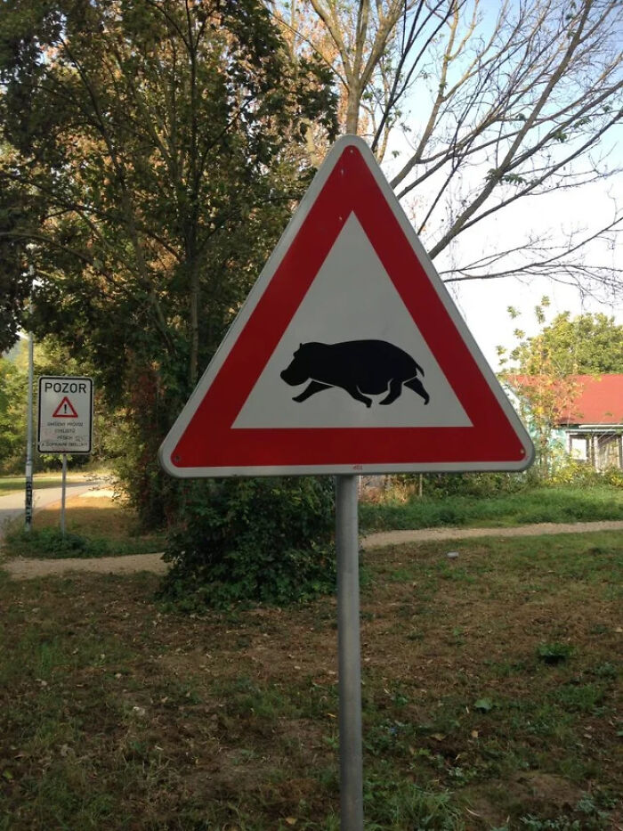 54 Signs From Around The World That Look Like Someone Surely Made A Mistake 54 Signs From Around The World That Look Like Someone Surely Made A Mistake