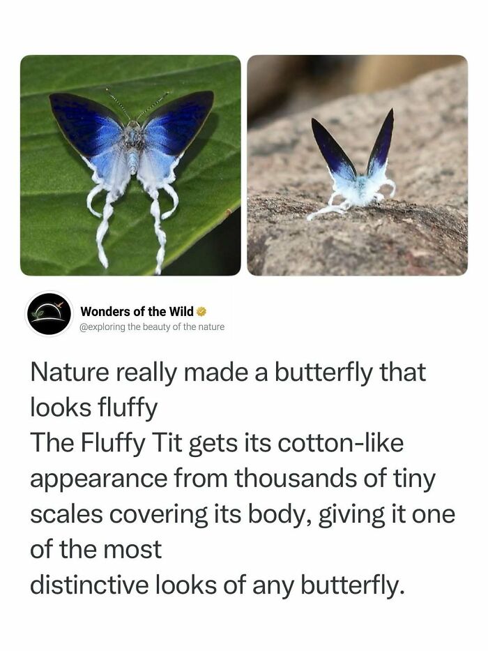50 Fun And Interesting Facts To Add To Your Collection Of Random Knowledge (New Pics) 50 Fun And Interesting Facts To Add To Your Collection Of Random Knowledge (New Pics)